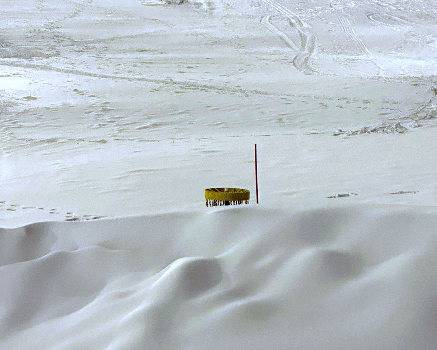 hallivuoro